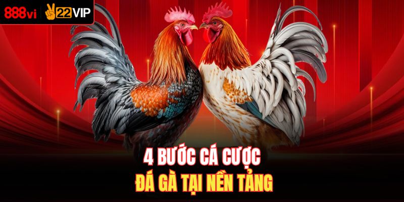 4 bước cá cược đá gà tại nền tảng