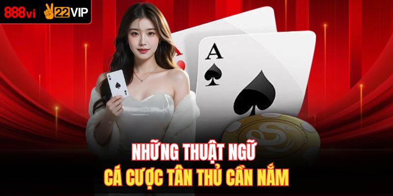 Những thuật ngữ cá cược tân thủ cần nắm