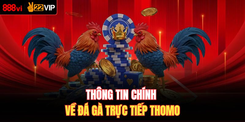 Thông tin chính về đá gà trực tiếp Thomo
